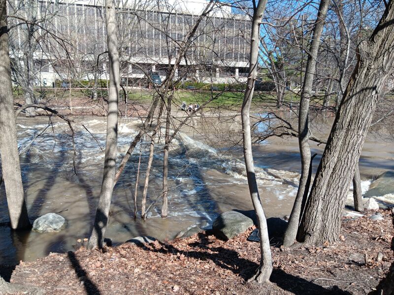 Take out on south side (river left)