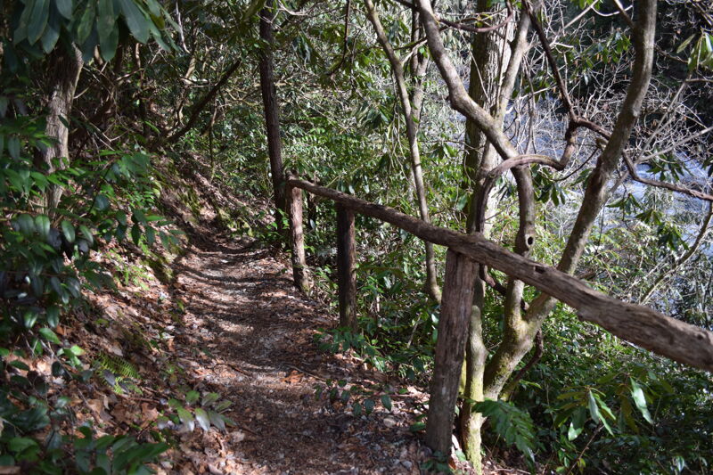 Takeout Trail at Bullpen