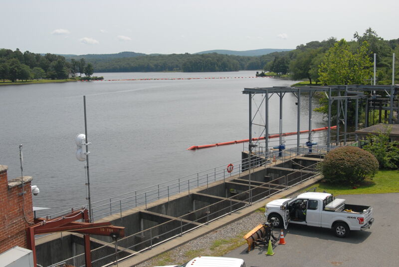 Fish Ladder at Turners Falls Dam