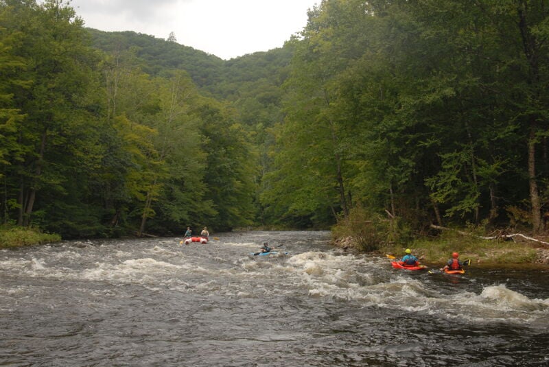 Island Rapid