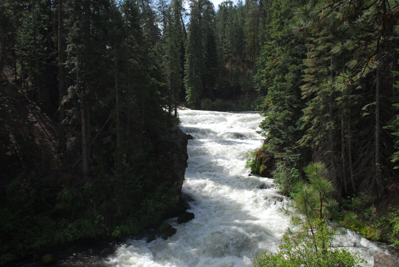 Benham Falls Looking Upstream
