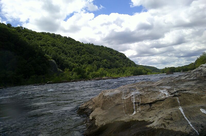 Potomac Needles Mad Dog Rapid