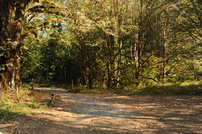 Maple Falls Access Put-in