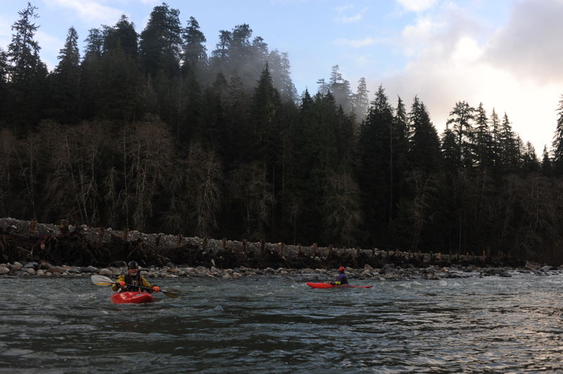 Engineered Log Structures at Gold Basin