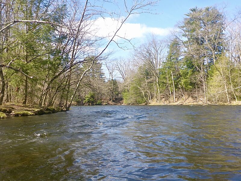 Altmar Section of the Salmon