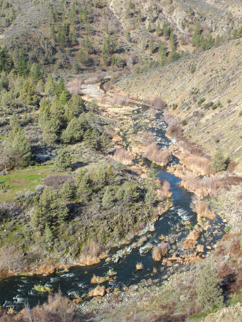 Shasta River