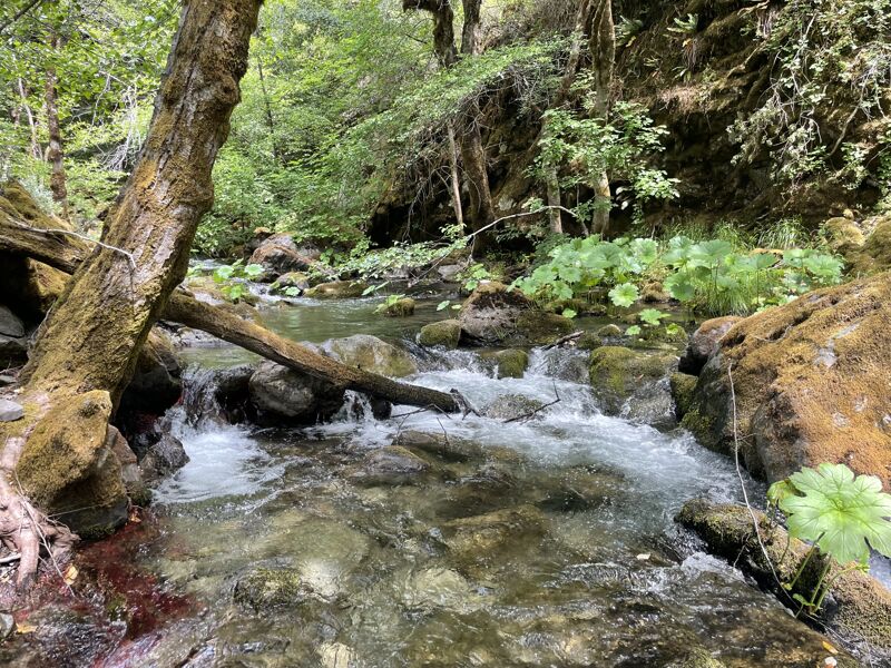 Kelsey Creek