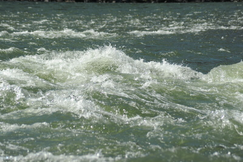 Wapshilla Rapid