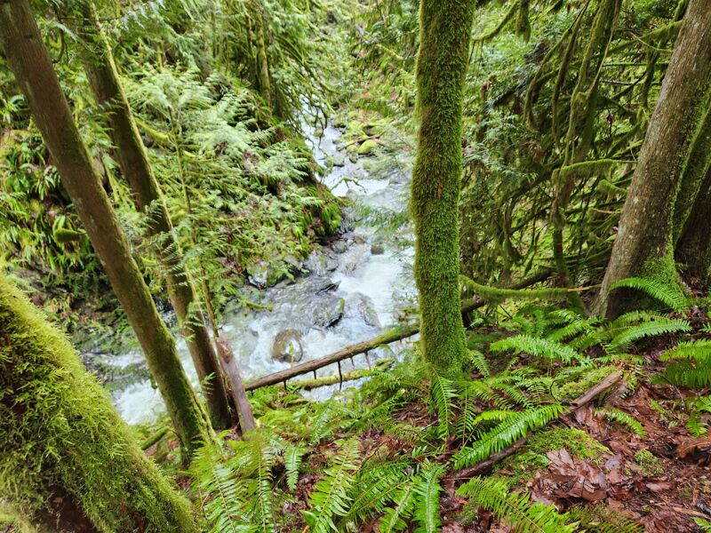 Lower Gorge