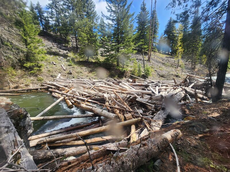 If you really love portaging trees...