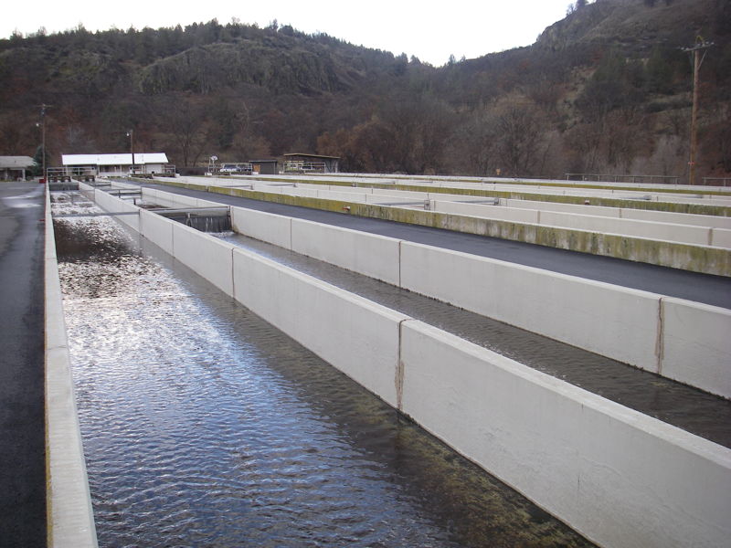 Hatchery
