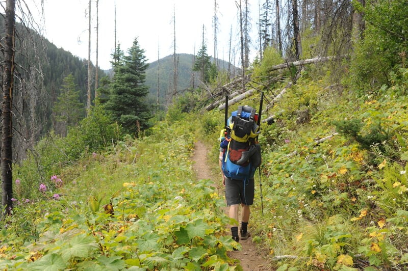 Hiking in on the Granite Creek Trail