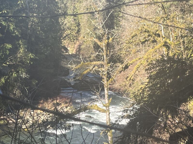 Riverwide logjam