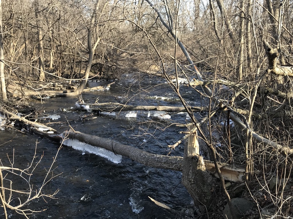 The Straight-away