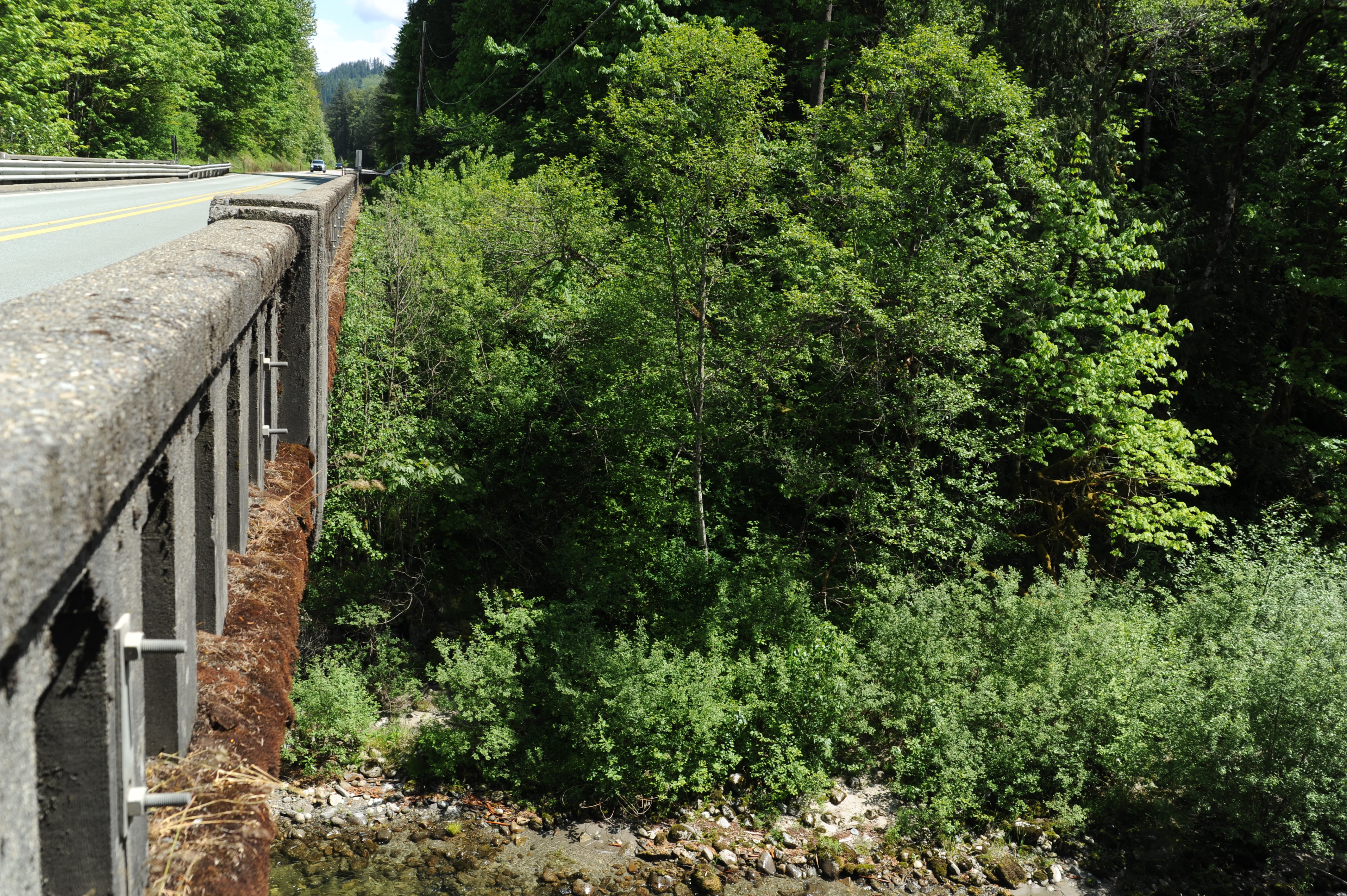 Highway 2 Tye River Take-Out