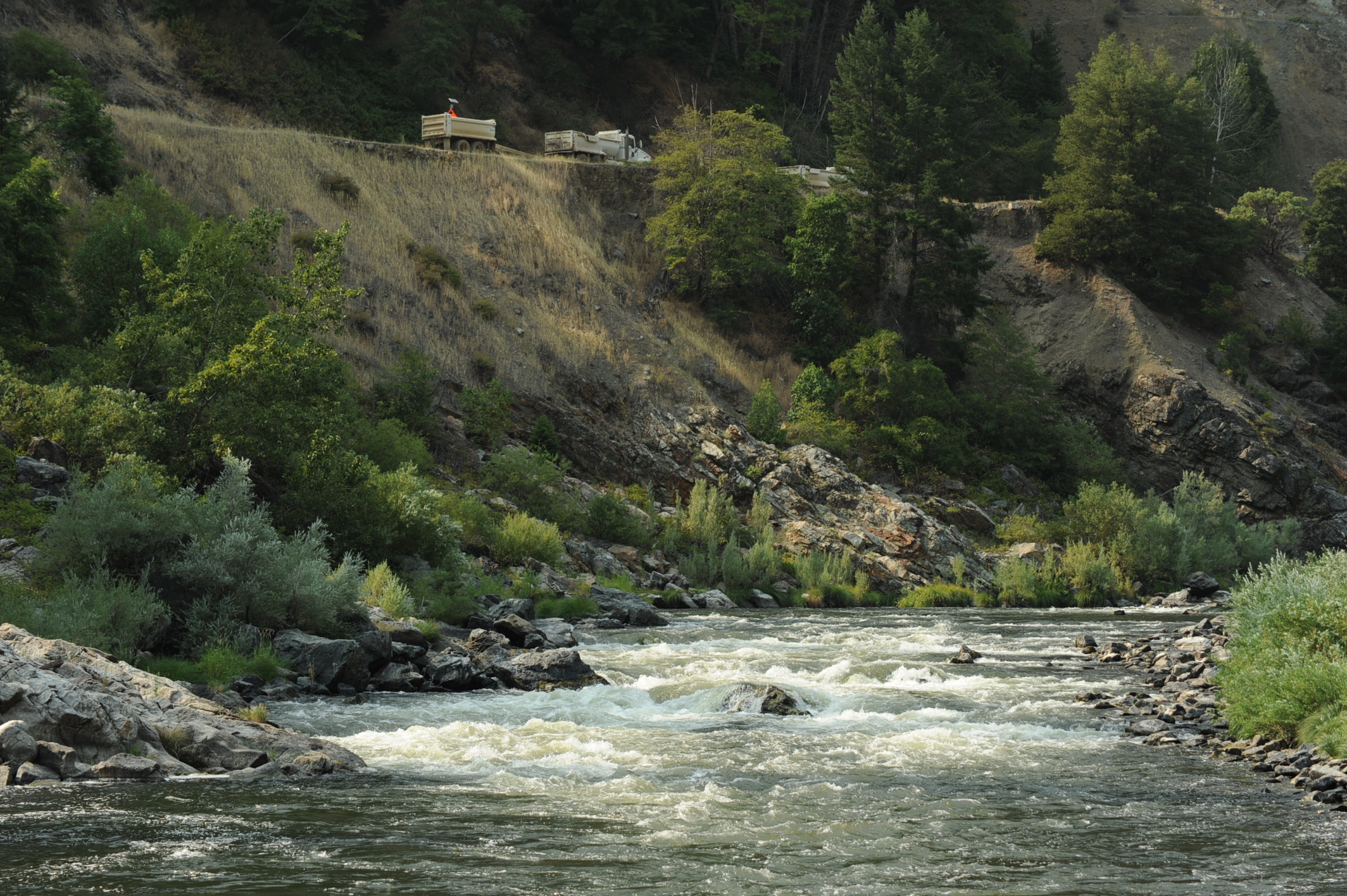 Rattlesnake Rapid
