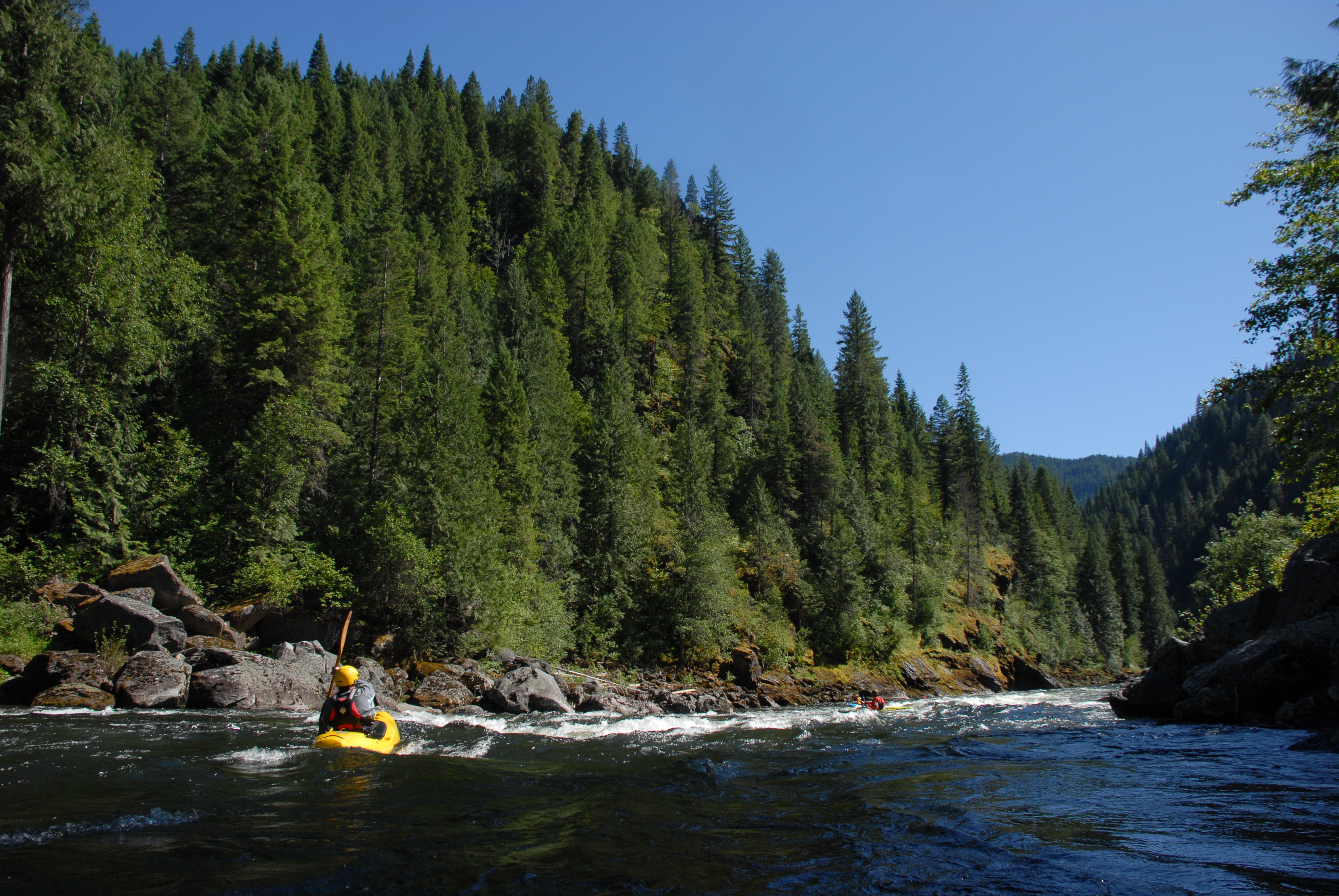 Termination Rapid