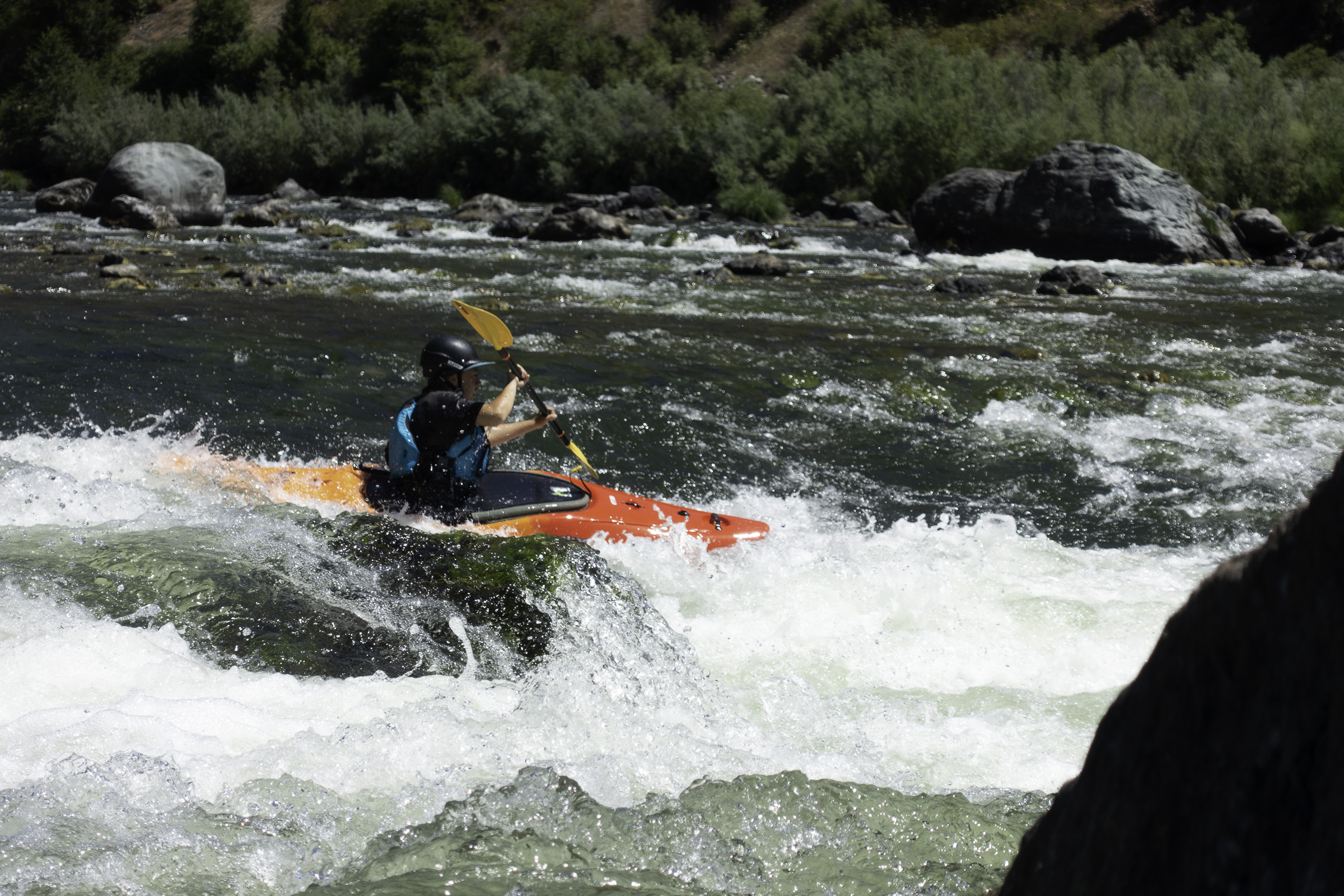 Frog Rock Rapid
