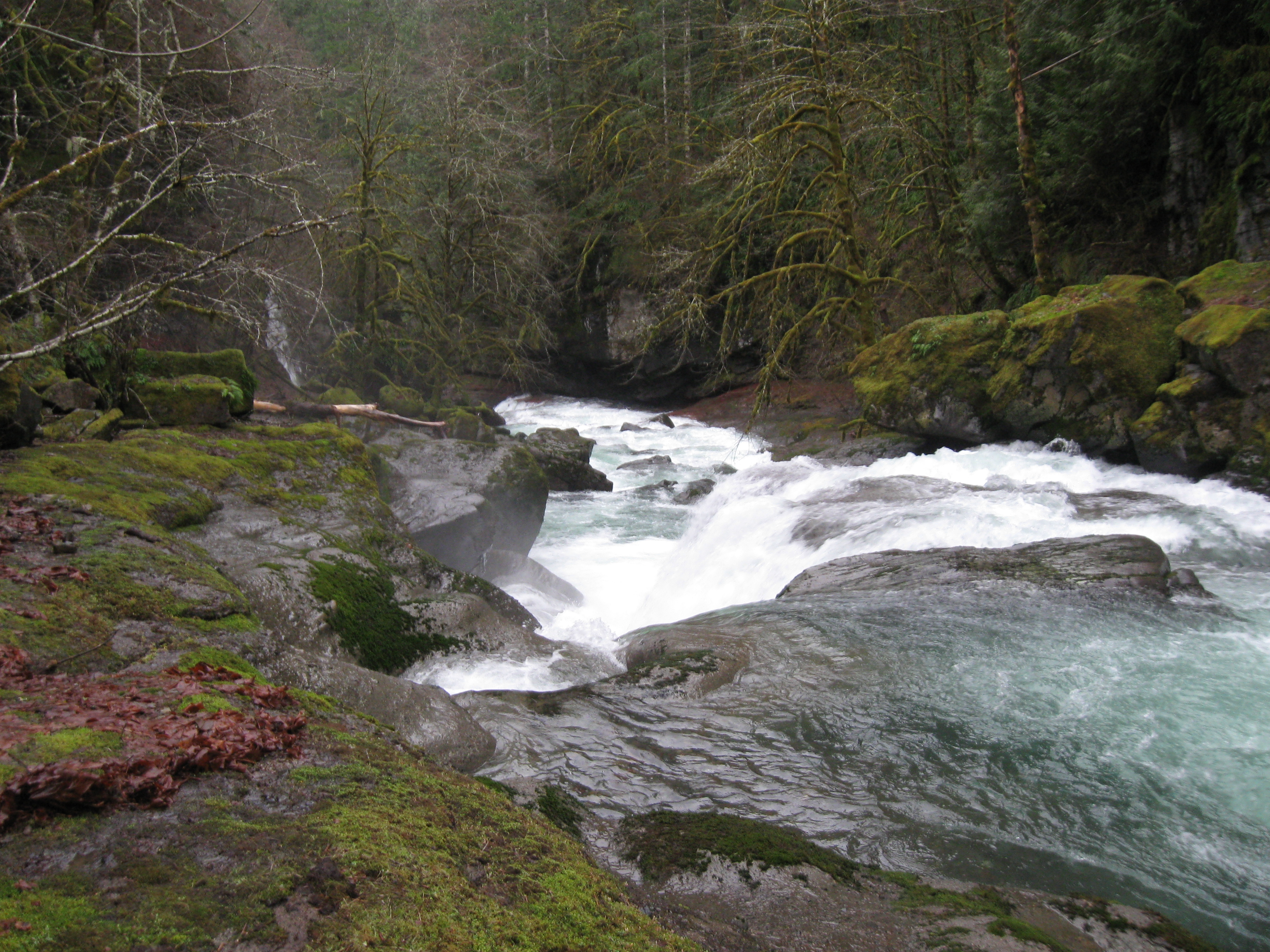 3 Swim Falls