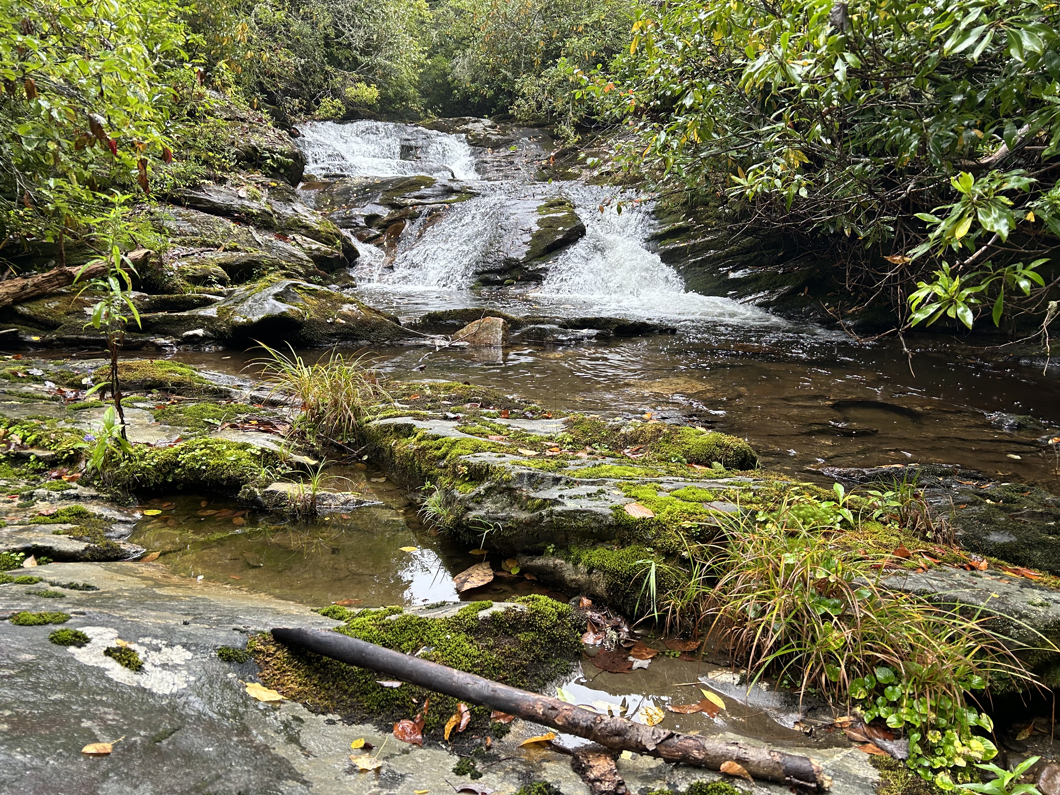 Tansee Creek Falls