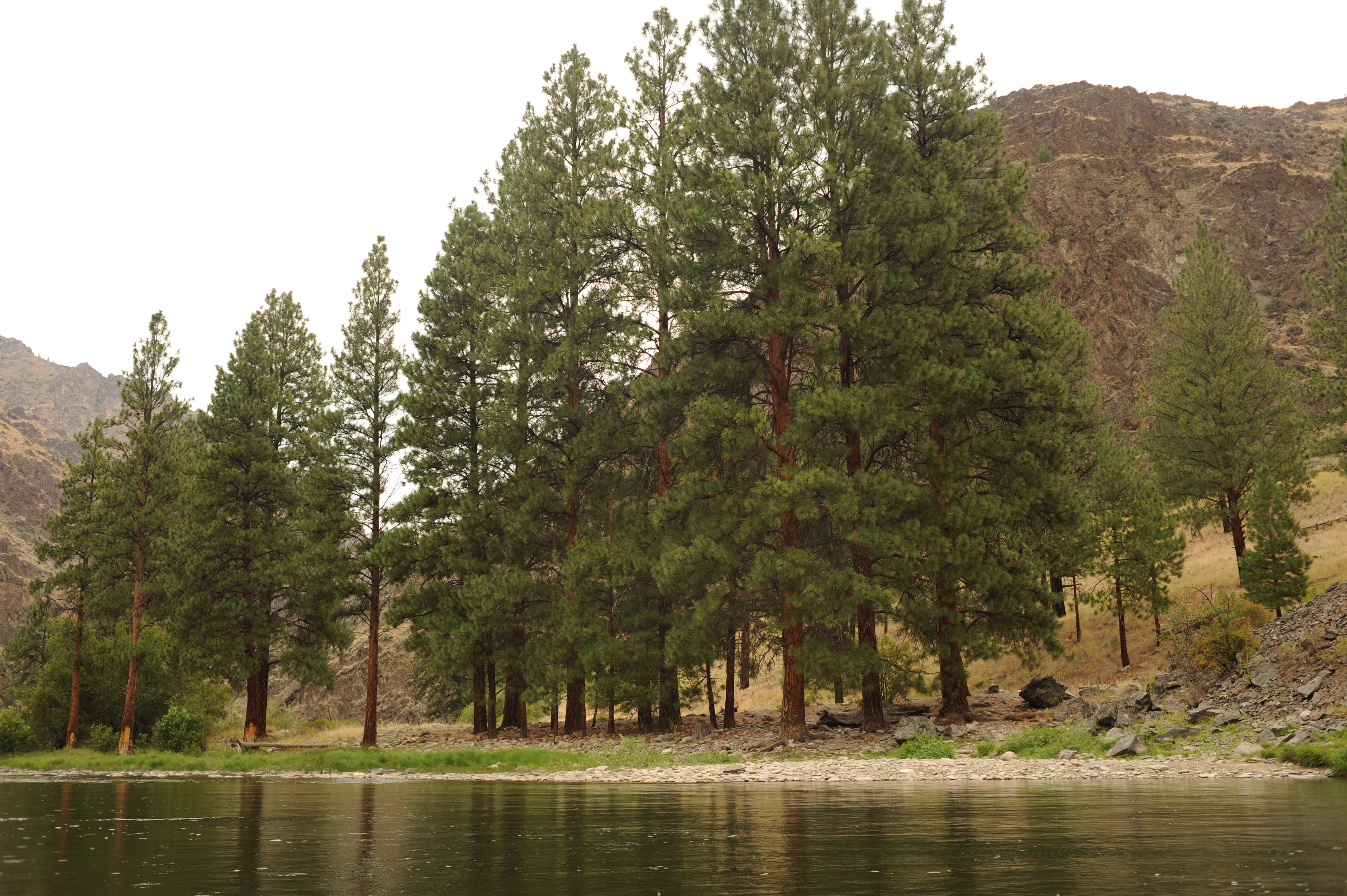 Woolard Creek Camp (RR)