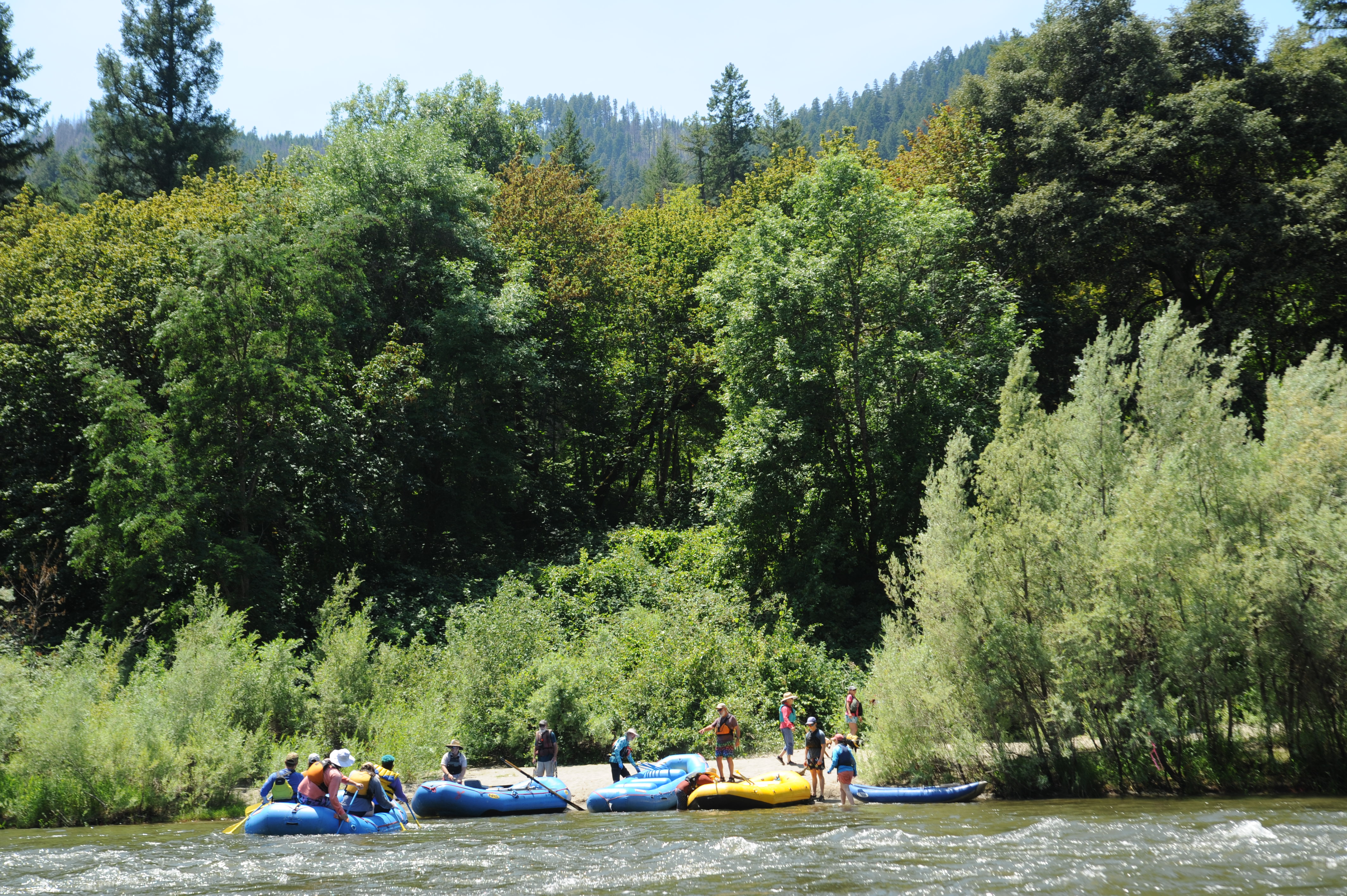 Seattle Creek River Access