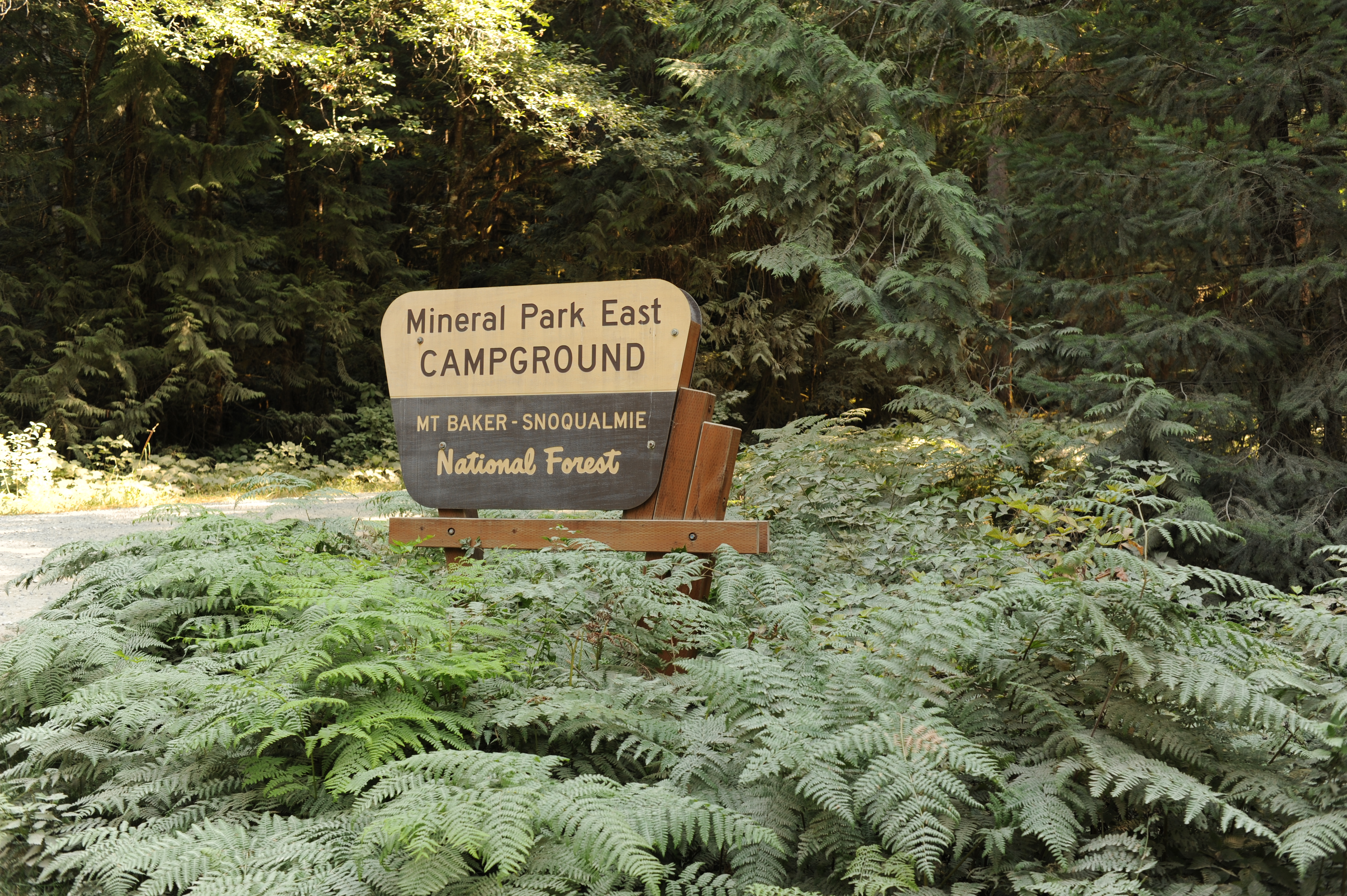 Mineral Park East Campground Put In